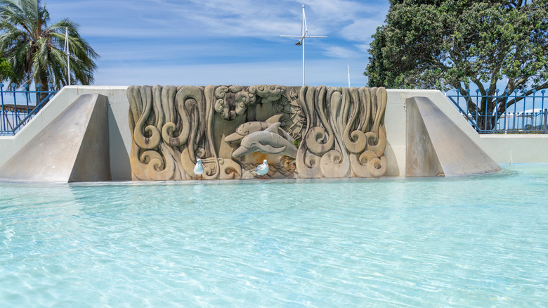 Dolphin monument in Bay of Plenty