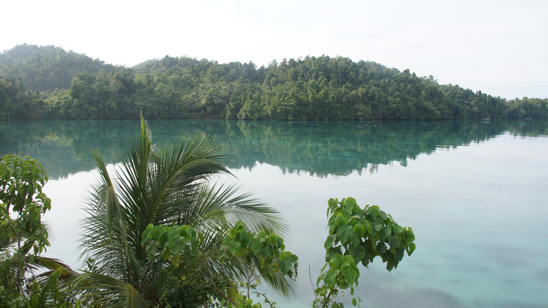 Peleng Island water