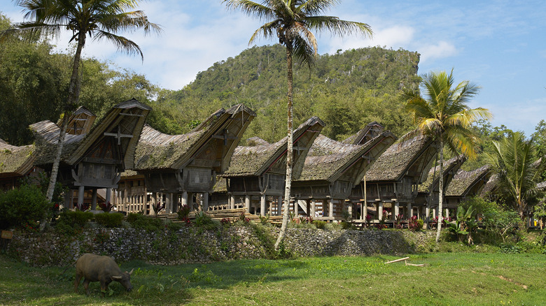 Toraji buildings in Sulawesi