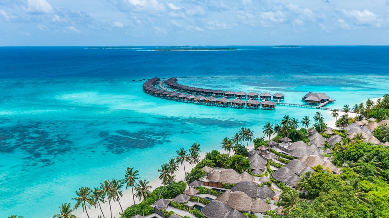 Maldives' reefs and overwater bungalows