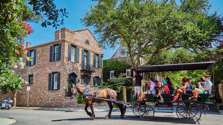 A horse-drawn carriage under trees