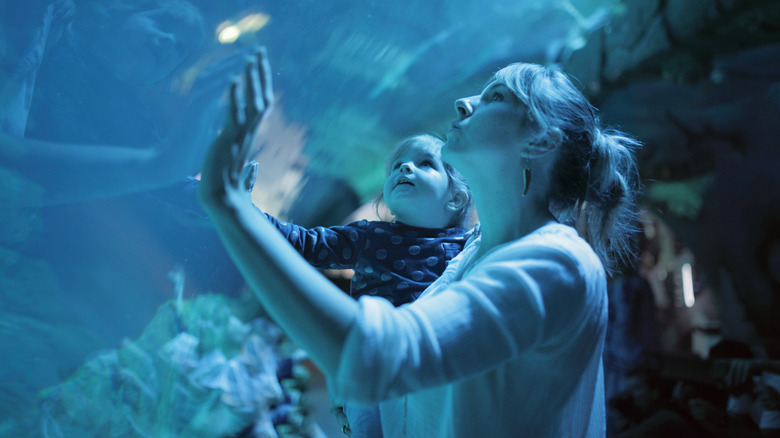 Mother and child in aquarium