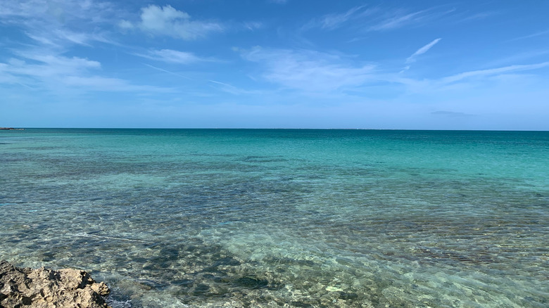 Mermaid Reef in the Bahamas