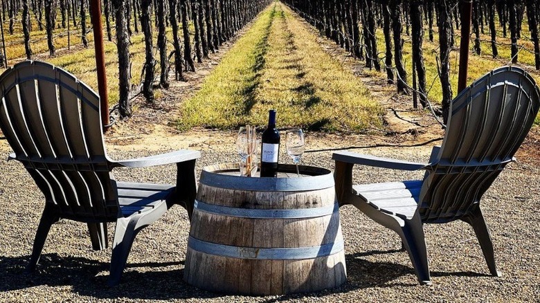 Chairs and bottle of wine overlooking grape vines