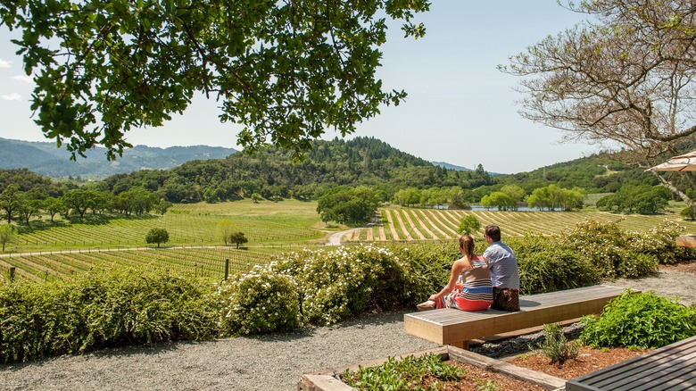 A couple sitting looking at a vineyard in Napa