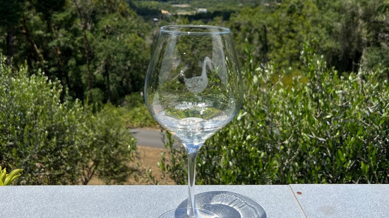 Glass of white wine with view at Toulouse Vineyards