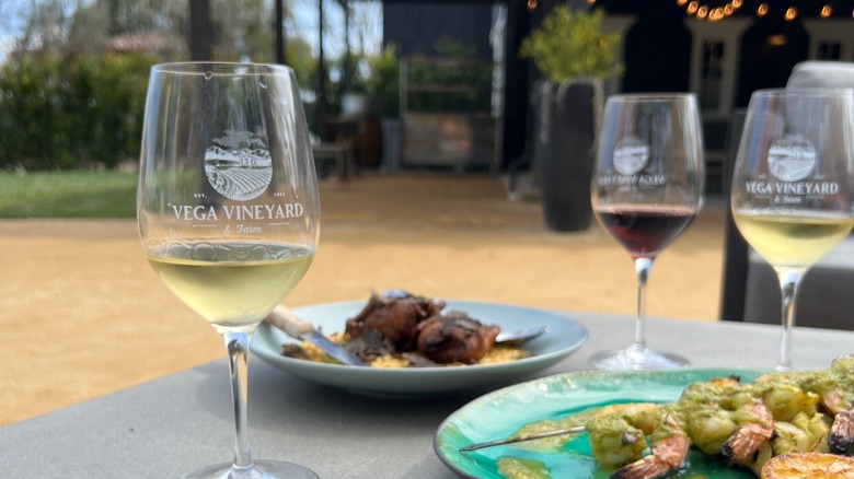 Wine and food at Vega Vineyard