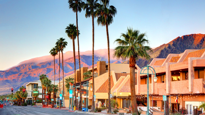 Palm Springs street