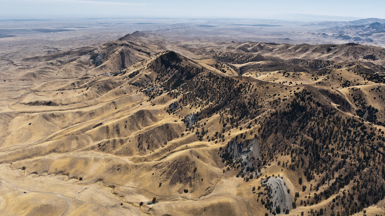 San Andreas fault aerial view