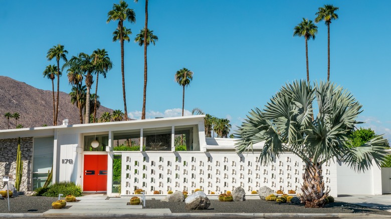 Palm Springs architecture and palm trees