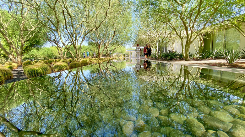 garden at Sunnylands