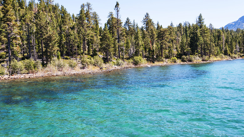 Waters of Tahoe's Emerald Bay