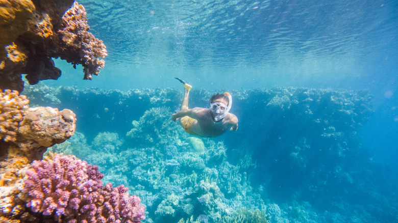 Swimmer snorkeling along vibrant reef