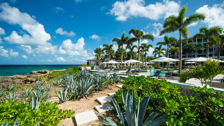 Anguilla Four Seasons pool area