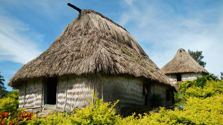 Traditional home in Fiji village