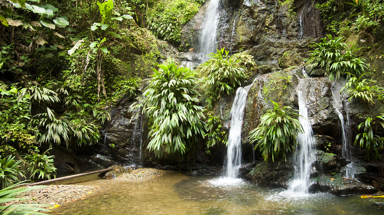 A beautiful waterfall in Tobago