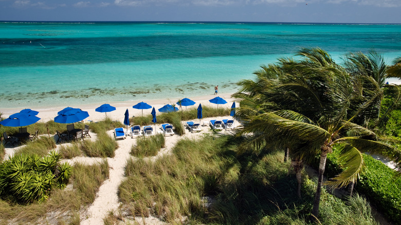 Grace Bay Beach blue umbrellas