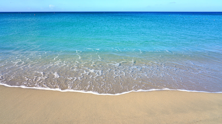 clear waters at Pinney's Beach