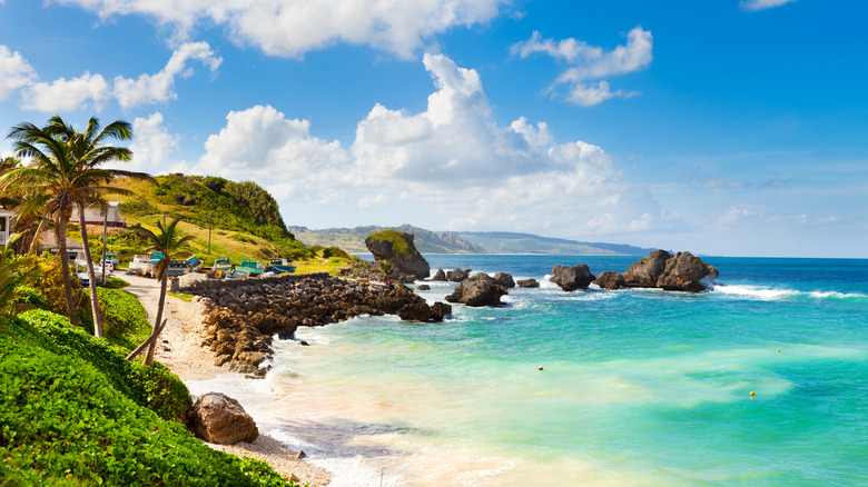 turquoise waters at Bathsheba