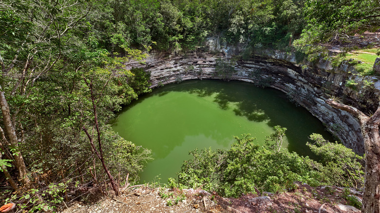 The sacred cenote at Chichen Itza, Mexico.