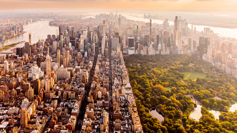 The New York skyline over Central Park on a sunny day