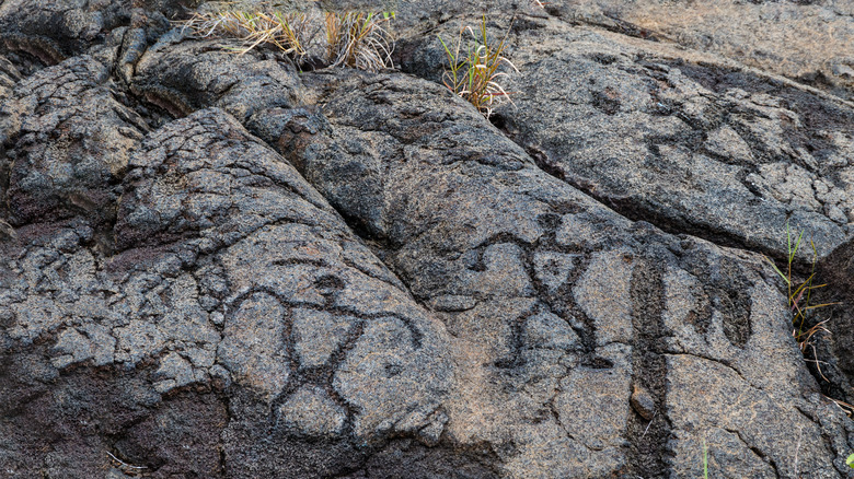 Hawaii Volcanoes National Park Puʻuloa Petroglyphs