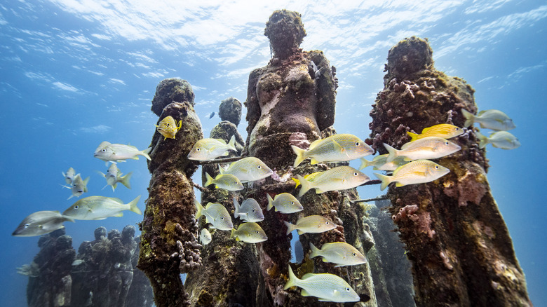 Underwater art on Isla Mujeres