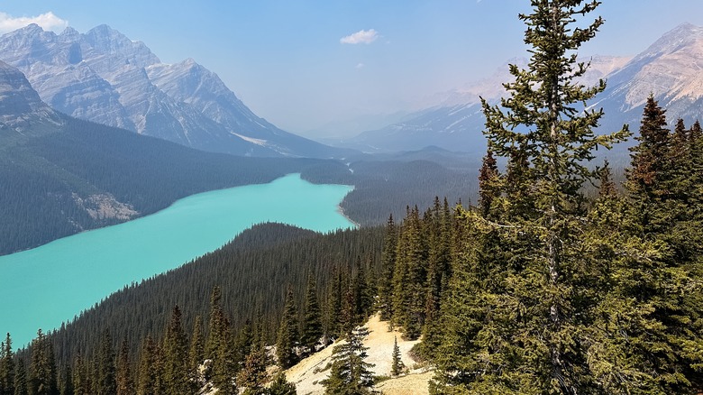 Overhead view of Peyto lake