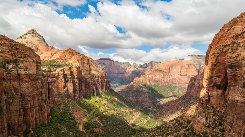 Canyon in Zion National Park