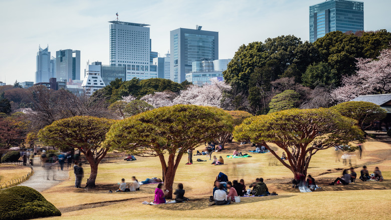  Ueno Park