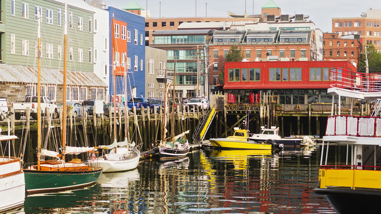 the marina in Portland, Maine