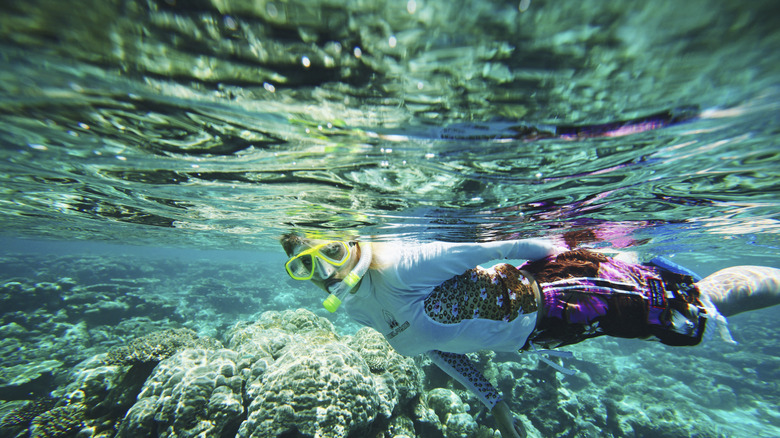 Person snorkeling near a coral reef