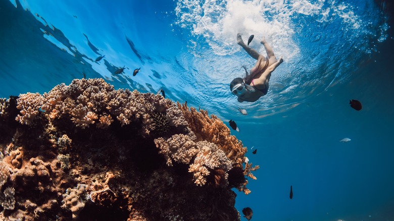 Woman snorkeling near a reef
