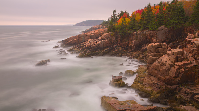 misty acadia coast vibrant foliage