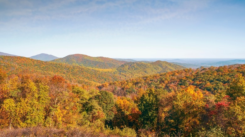 rolling autumn hills Shenandoah