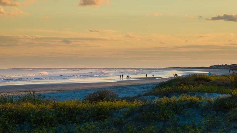 Beachwalker Park on Kiawah