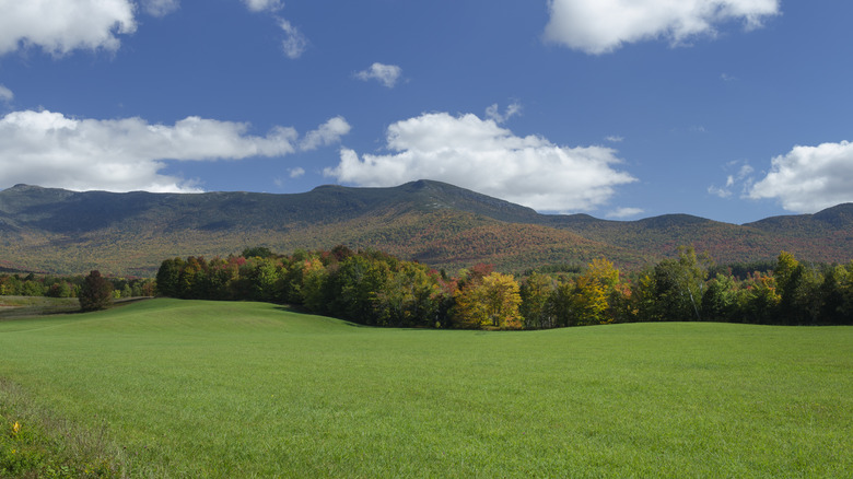 Mount Mansfield in Vermont