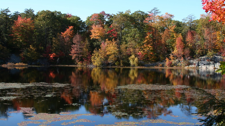 fall colors reflective pond Fahnestock