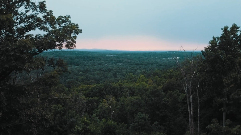 view over forest Malouf's campground