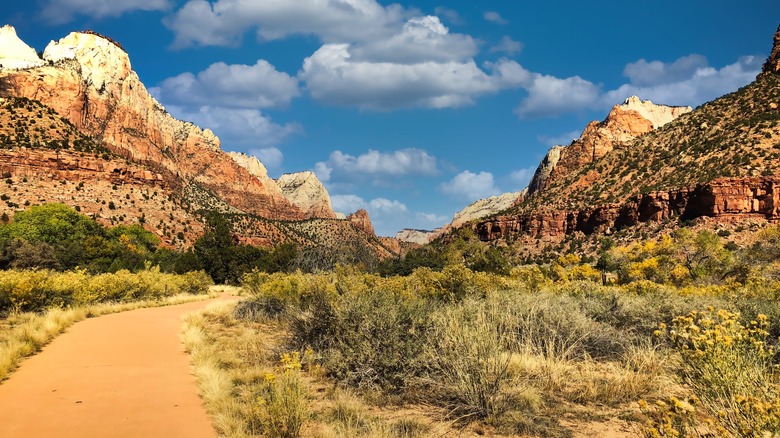 blue skies and mountains along Pa'rus Trail in Zion National Park