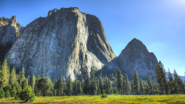 el capitan from valley floor at Yosemite National Park