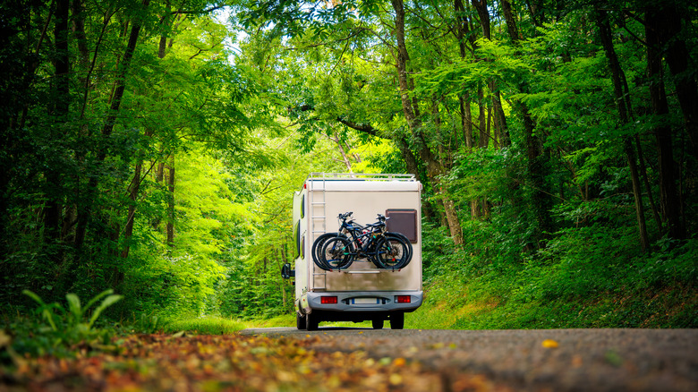 motorhome driving through forest