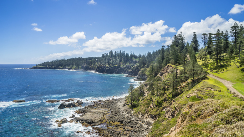 Norfolk Island coast with trees and walking trail