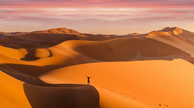 Person stands atop rolling desert dunes in Namibia