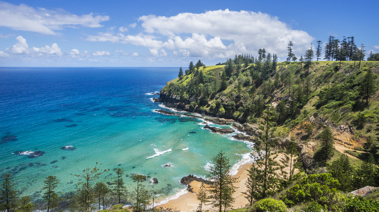 Norfolk Island coastline on a sunny day