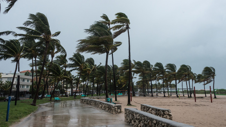 Florida beach in hurricane