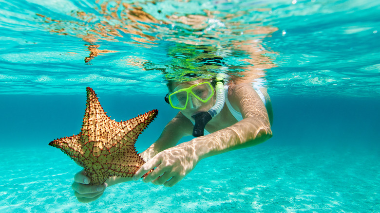 scuba diver holding starfish