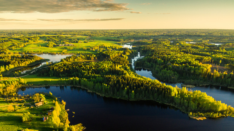 Aerial image of Taurene, Latvia with river and forests