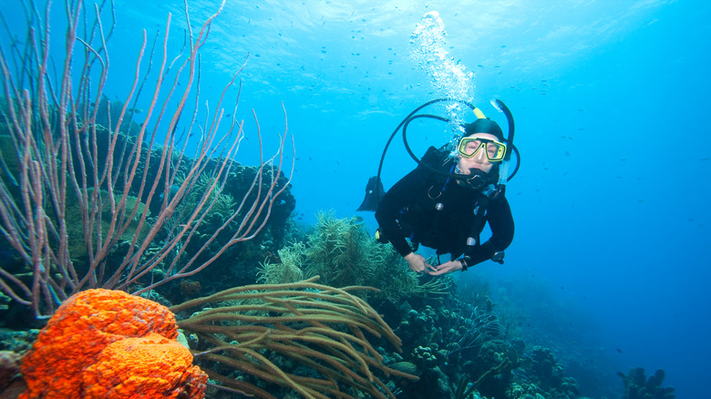 Scuba diver in Bonaire's waters