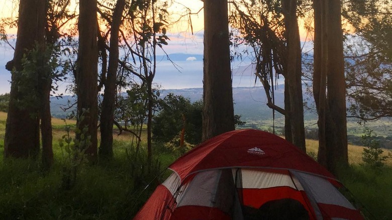 A tent in Polipoli Spring State Recreation Area in Maui, Hawaii